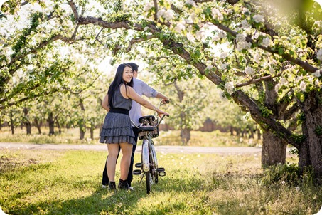 tandem-bike_engagement-portraits_apple-orchard_Kelowna_25_by-Kevin-Trowbridge