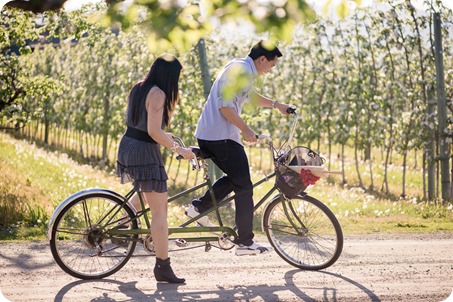 tandem-bike_engagement-portraits_apple-orchard_Kelowna_26_by-Kevin-Trowbridge