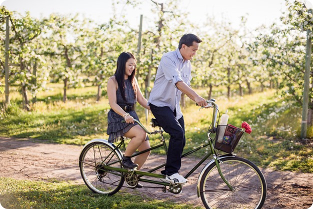 tandem-bike_engagement-portraits_apple-orchard_Kelowna_39_by-Kevin-Trowbridge