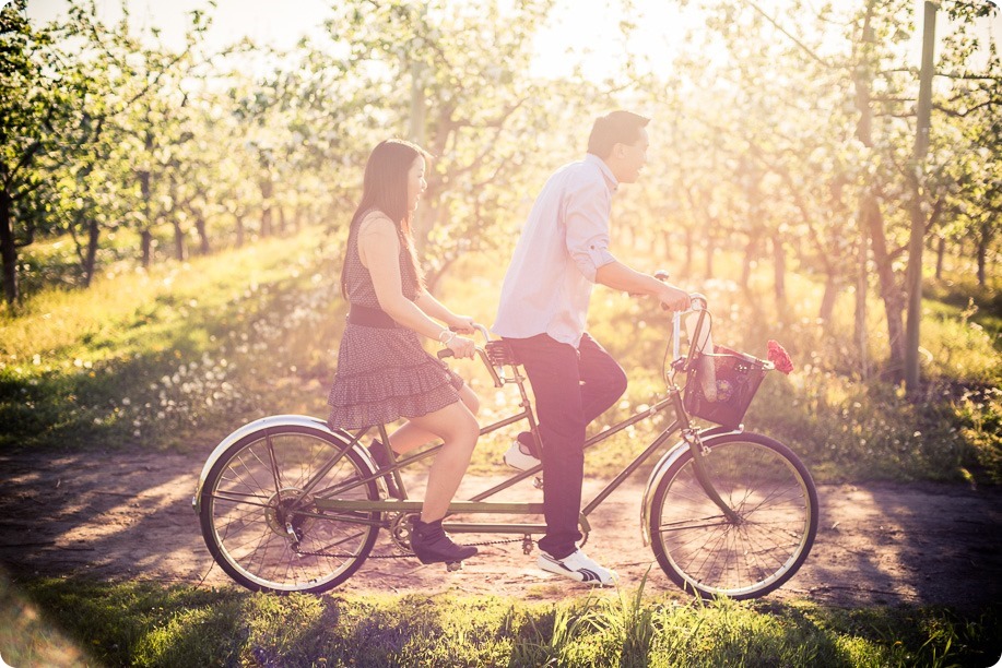 tandem-bike_engagement-portraits_apple-orchard_Kelowna_40_by-Kevin-Trowbridge