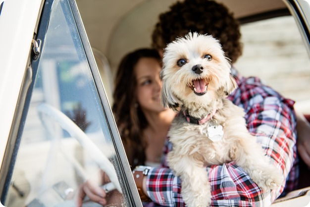 Kelowna-vintage-truck-engagement-session_heritage-orchard-photos12_by-Kevin-Trowbridge