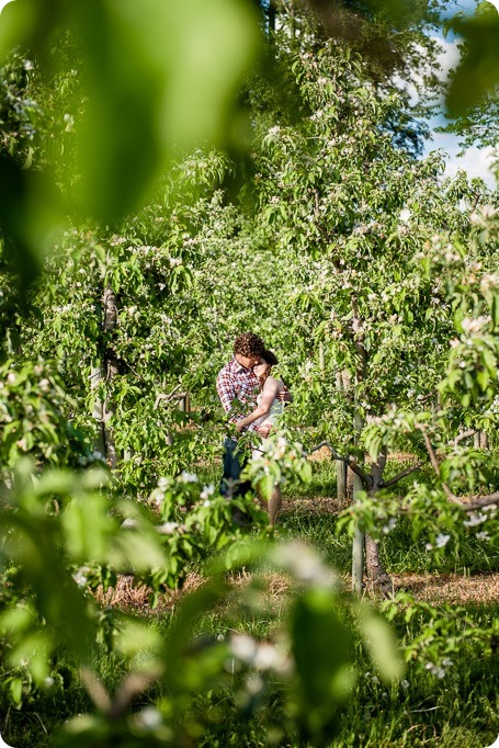 Kelowna-vintage-truck-engagement-session_heritage-orchard-photos37_by-Kevin-Trowbridge