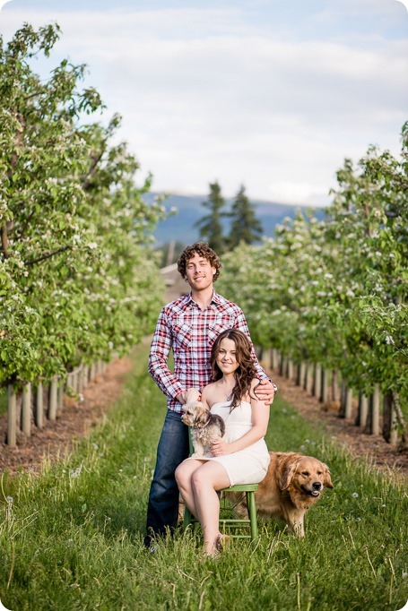 Kelowna-vintage-truck-engagement-session_heritage-orchard-photos54_by-Kevin-Trowbridge