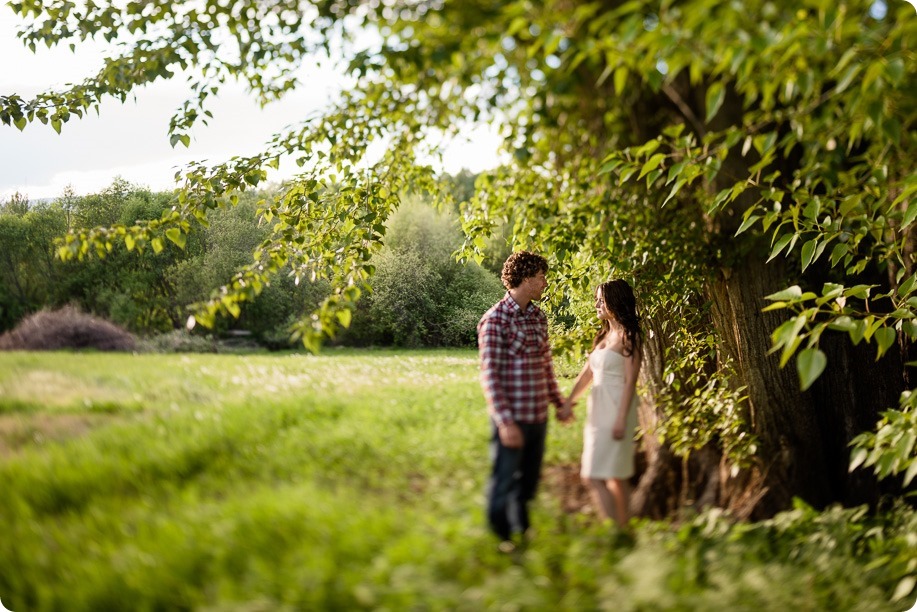 Kelowna-vintage-truck-engagement-session_heritage-orchard-photos69_by-Kevin-Trowbridge