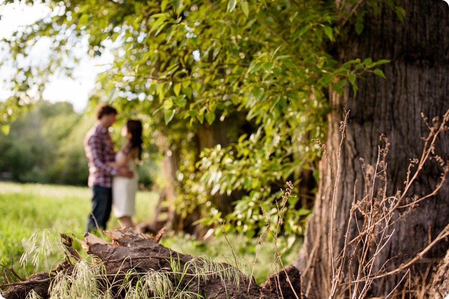 Kelowna-vintage-truck-engagement-session_heritage-orchard-photos71_by-Kevin-Trowbridge