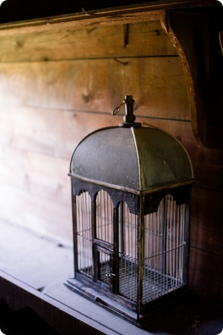 Kelowna-vintage-truck-engagement-session_heritage-orchard-photos91_by-Kevin-Trowbridge