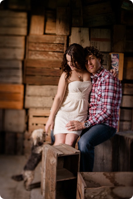 Kelowna-vintage-truck-engagement-session_heritage-orchard-photos98_by-Kevin-Trowbridge