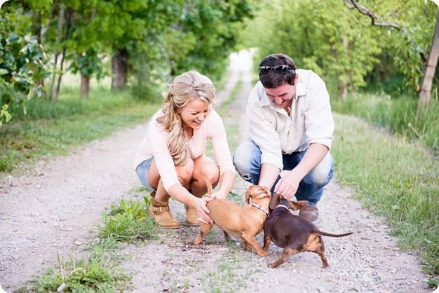 farm-engagement-session_dachshund-dogs_Okanagan_15_by-Kevin-Trowbridge