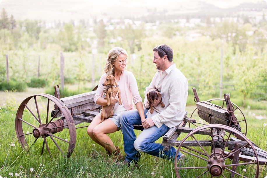 farm-engagement-session_dachshund-dogs_Okanagan_32_by-Kevin-Trowbridge