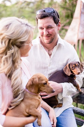 farm-engagement-session_dachshund-dogs_Okanagan_34_by-Kevin-Trowbridge