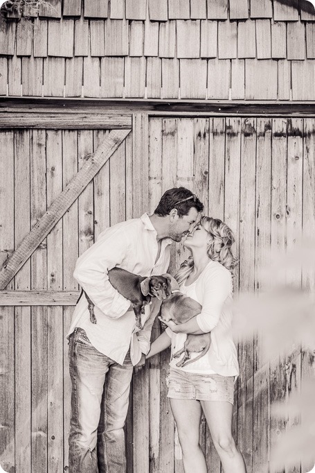 farm-engagement-session_dachshund-dogs_Okanagan_37_by-Kevin-Trowbridge