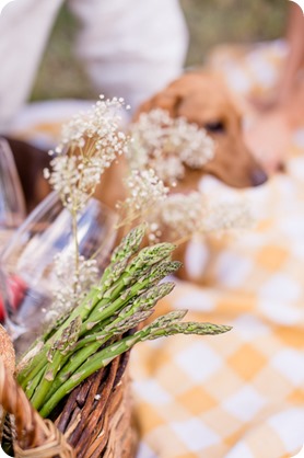 farm-engagement-session_dachshund-dogs_Okanagan_45_by-Kevin-Trowbridge