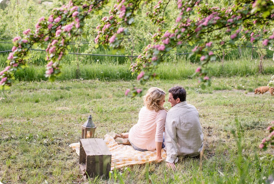 farm-engagement-session_dachshund-dogs_Okanagan_56_by-Kevin-Trowbridge