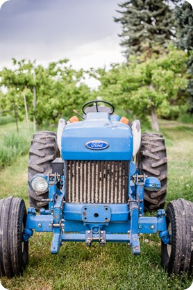 farm-engagement-session_dachshund-dogs_Okanagan_93_by-Kevin-Trowbridge