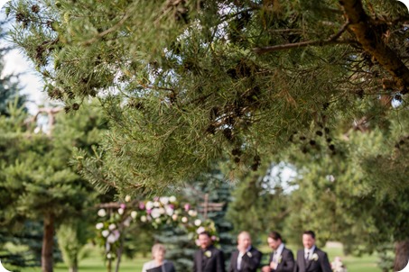 Armstrong-Okanagan-wedding_country-farm_47_by-Kevin-Trowbridge