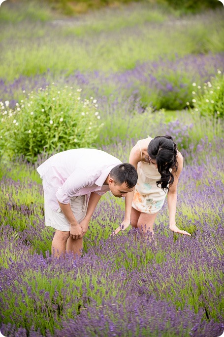 Kelowna-Lavender-engagement-session_37_by-Kevin-Trowbridge