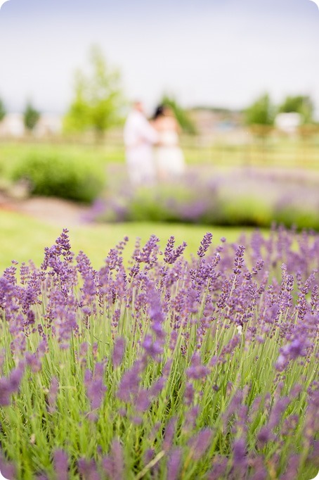 Kelowna-Lavender-engagement-session_42_by-Kevin-Trowbridge