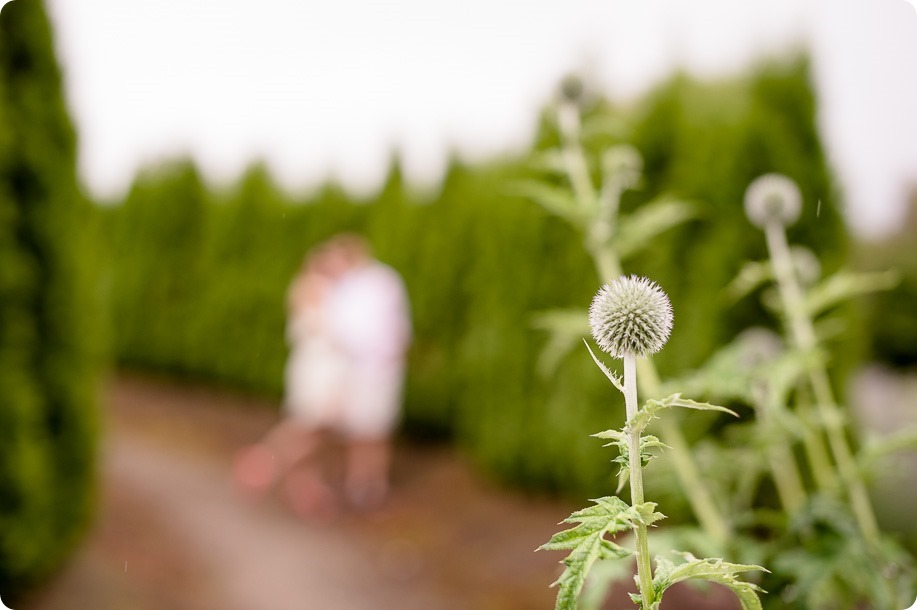 Kelowna-Lavender-engagement-session_96_by-Kevin-Trowbridge