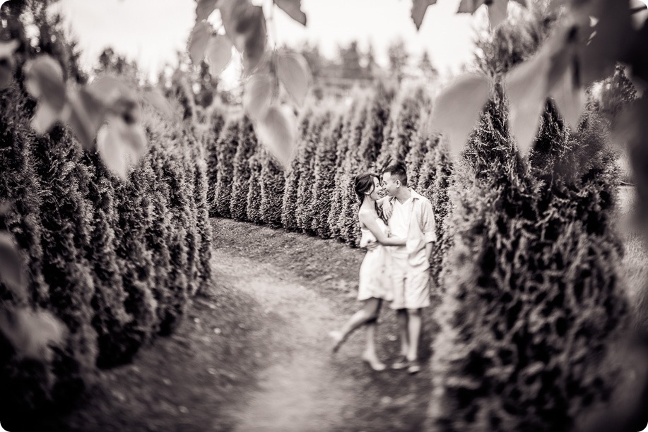 Kelowna-Lavender-engagement-session_97_by-Kevin-Trowbridge