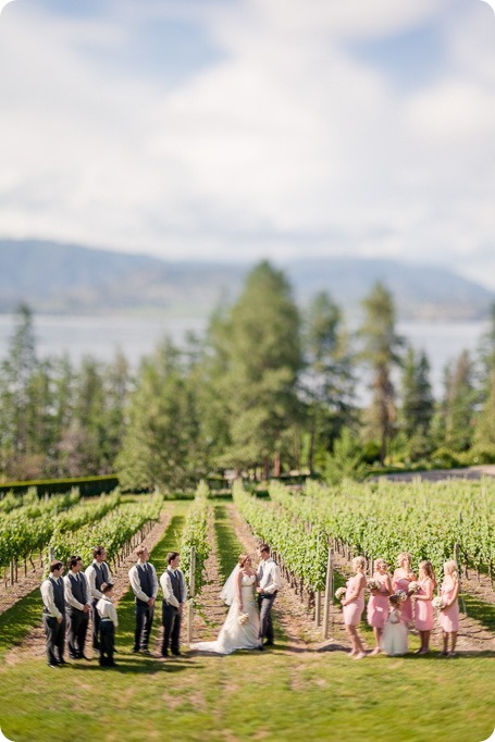 Kelowna-wedding_Cedar-Creek-winery_Laurel_118_by-Kevin-Trowbridge