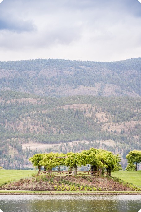 Kelowna-wedding_Cedar-Creek-winery_Laurel_42_by-Kevin-Trowbridge