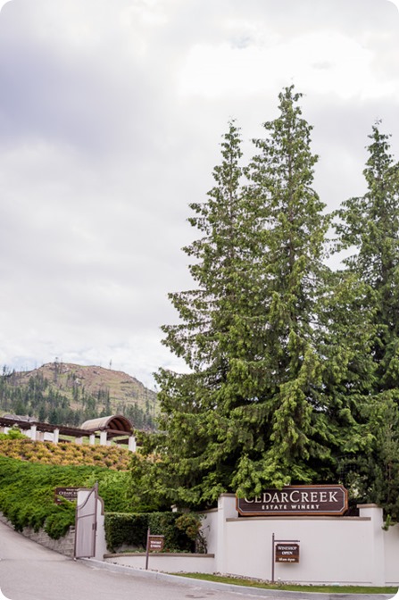 Kelowna-wedding_Cedar-Creek-winery_Laurel_74_by-Kevin-Trowbridge