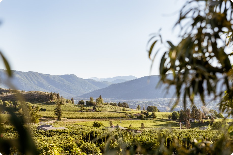 Naramata-engagement-session_vintage-lake-vineyard-portraits78_by-Kevin-Trowbridge