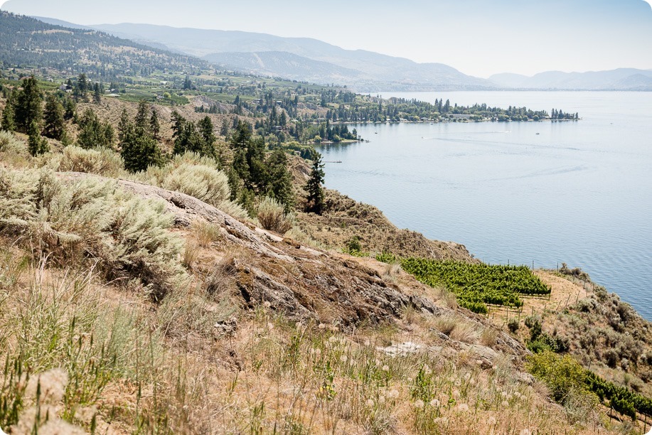 Naramata-wedding-photography_Apple-DOr_vineyard_02_by-Kevin-Trowbridge