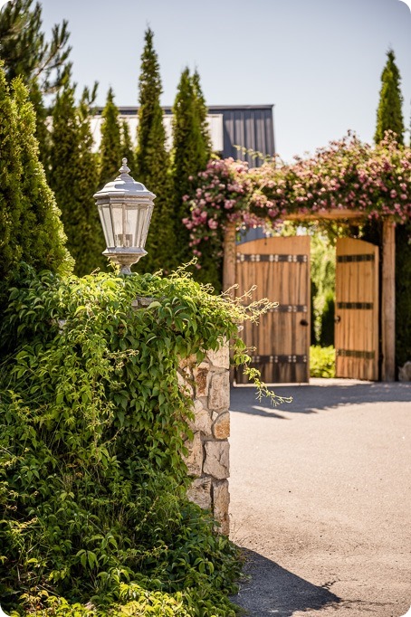 Naramata-wedding-photography_Apple-DOr_vineyard_29_by-Kevin-Trowbridge