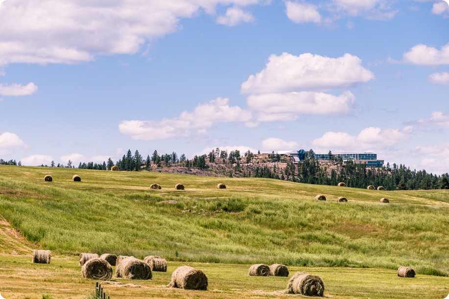 Sparkling-Hill-wedding_Okanagan_06_by-Kevin-Trowbridge