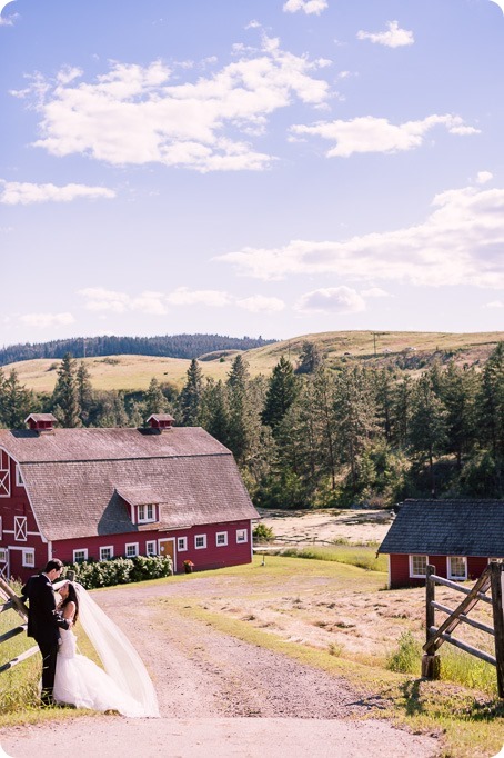 Sparkling-Hill-wedding_Okanagan_103_by-Kevin-Trowbridge