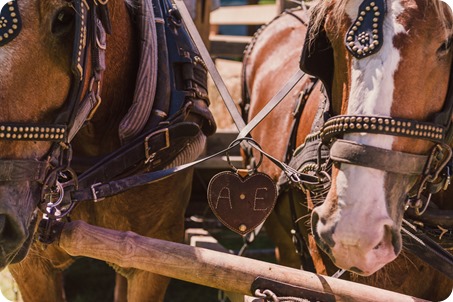 Vintage-Farmers-Market-engagement-session_Caravan-Theatre-Armstrong_136_by-Kevin-Trowbridge