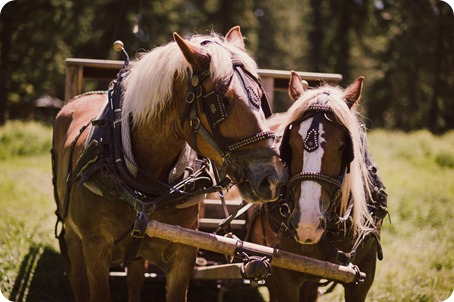 Vintage-Farmers-Market-engagement-session_Caravan-Theatre-Armstrong_99_by-Kevin-Trowbridge