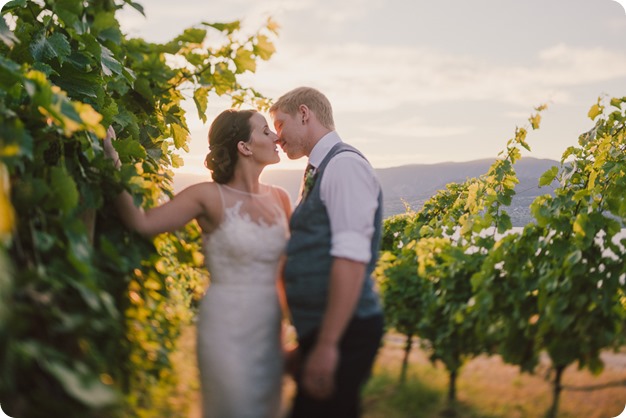 Kelowna-vintage-wedding-Summerhill-Winery_230_by-Kevin-Trowbridge