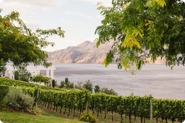 Summerland-wedding_Bonitas-Winery_lake-portraits_124_by-Kevin-Trowbridge