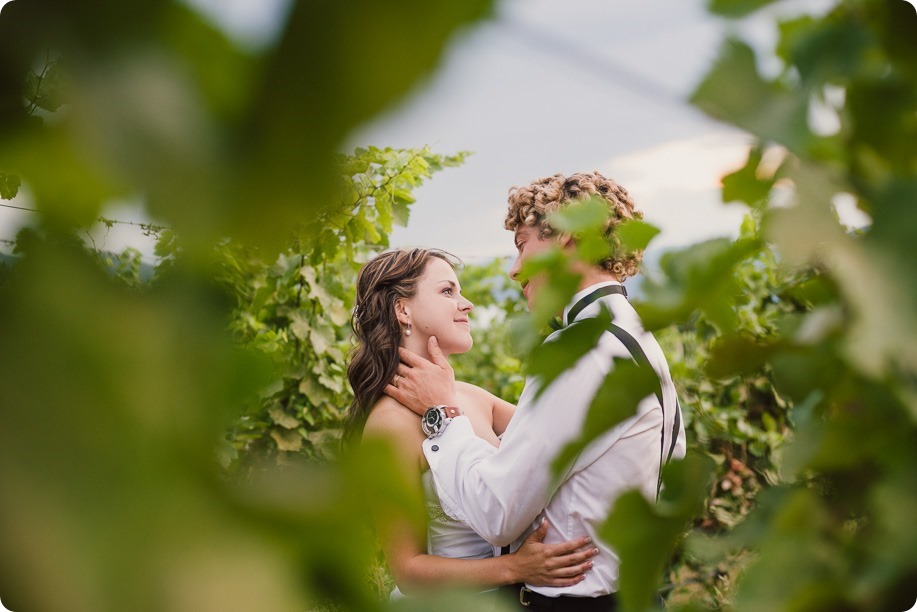 Kelowna-wedding-photography_Summerhill-Winery_classic-mustang_138_by-Kevin-Trowbridge