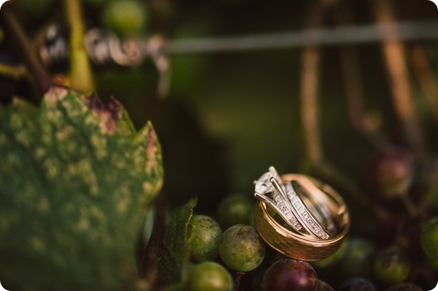 Kelowna-wedding-photography_Summerhill-Winery_classic-mustang_146_by-Kevin-Trowbridge