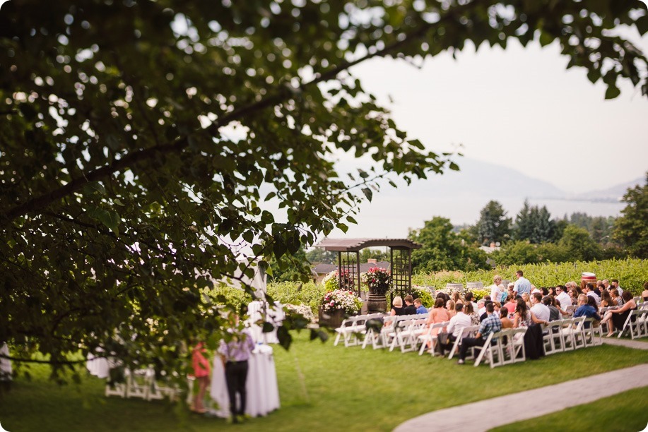 Kelowna-wedding-photography_Summerhill-Winery_classic-mustang_37_by-Kevin-Trowbridge