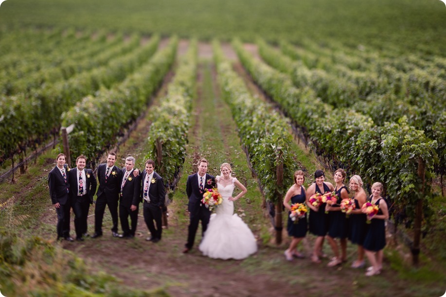 Kaleden-wedding_Linden-Gardens_vineyards-Okanagan-photographer_144739_by-Kevin-Trowbridge