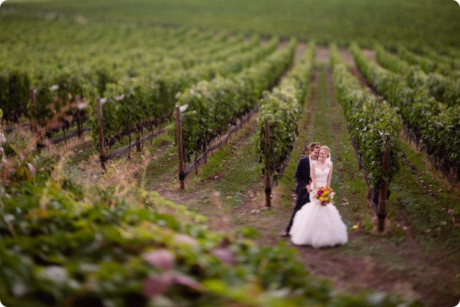 Kaleden-wedding_Linden-Gardens_vineyards-Okanagan-photographer_144916_by-Kevin-Trowbridge