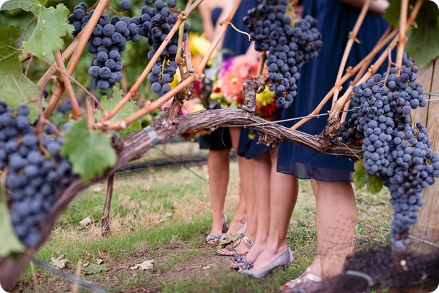 Kaleden-wedding_Linden-Gardens_vineyards-Okanagan-photographer_145319_by-Kevin-Trowbridge