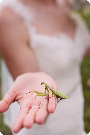 Kaleden-wedding_Linden-Gardens_vineyards-Okanagan-photographer_145414_by-Kevin-Trowbridge