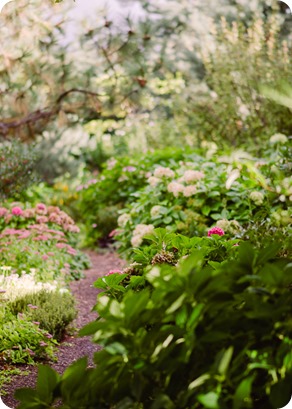 Kaleden-wedding_Linden-Gardens_vineyards-Okanagan-photographer_153723_by-Kevin-Trowbridge