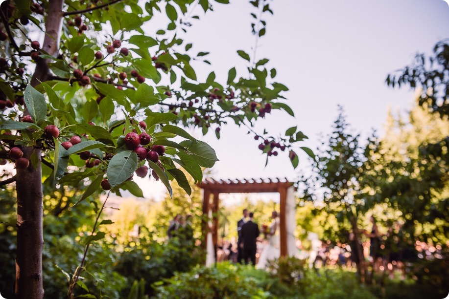 Kaleden-wedding_Linden-Gardens_vineyards-Okanagan-photographer_161959_by-Kevin-Trowbridge