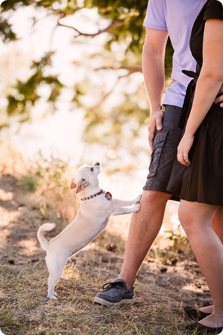 Kelowna-engagement-session_lake-dog-portraits_Okanagan-photographer_05_by-Kevin-Trowbridge