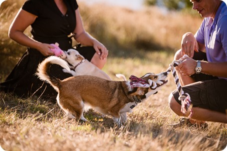 Kelowna-engagement-session_lake-dog-portraits_Okanagan-photographer_18_by-Kevin-Trowbridge