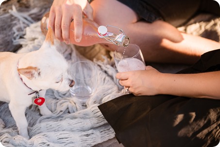 Kelowna-engagement-session_lake-dog-portraits_Okanagan-photographer_70_by-Kevin-Trowbridge