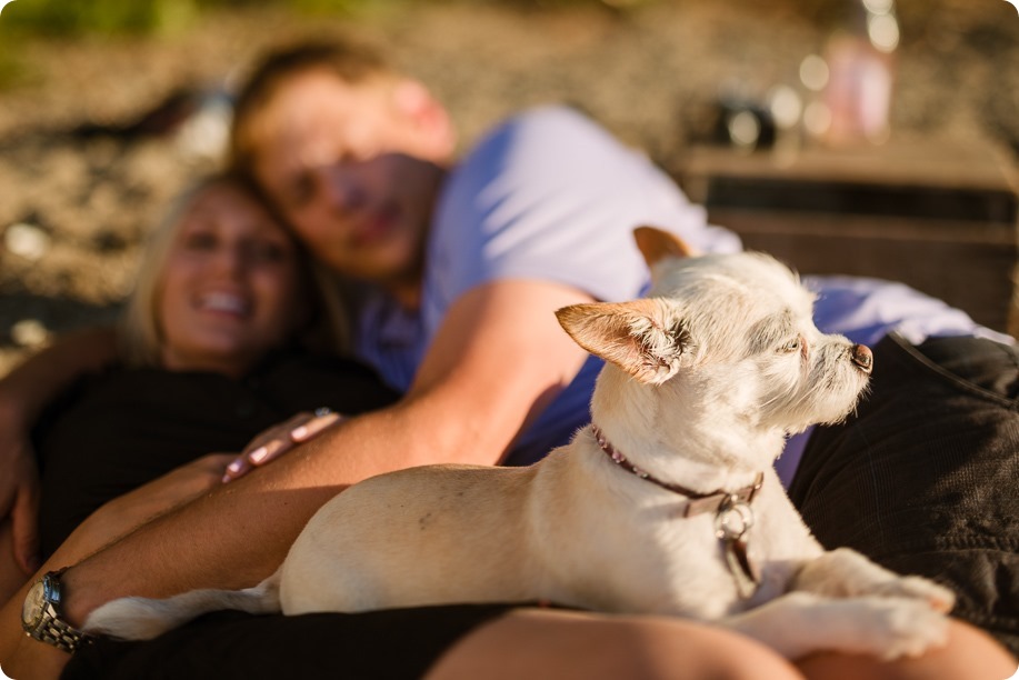 Kelowna-engagement-session_lake-dog-portraits_Okanagan-photographer_83_by-Kevin-Trowbridge