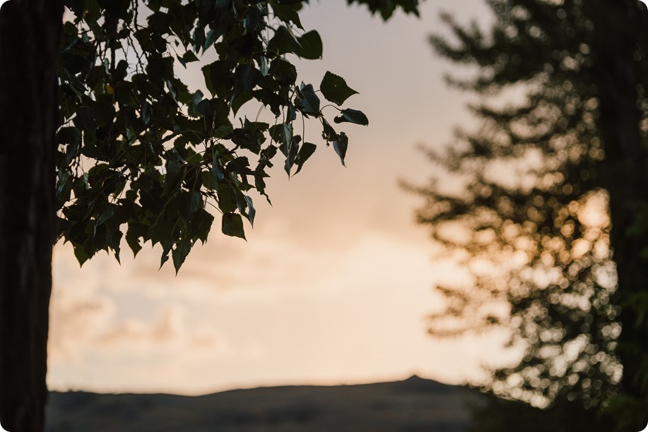 Kelowna-wedding-photographer_Okanagan engagement session_Kal beach_89276_by-Kevin-Trowbridge