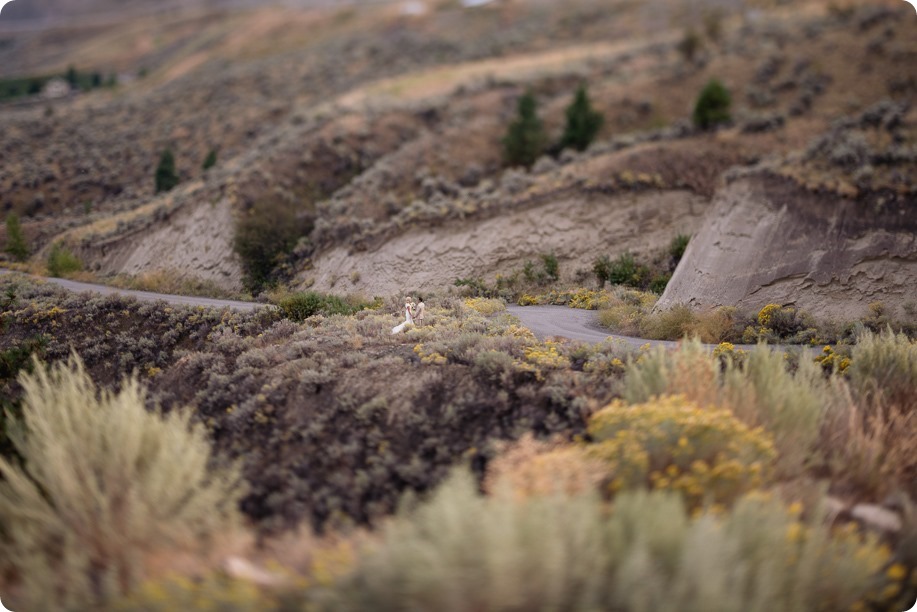 La-Punta-Norte-Okanagan-wedding-desert-lakeview_119_by-Kevin-Trowbridge